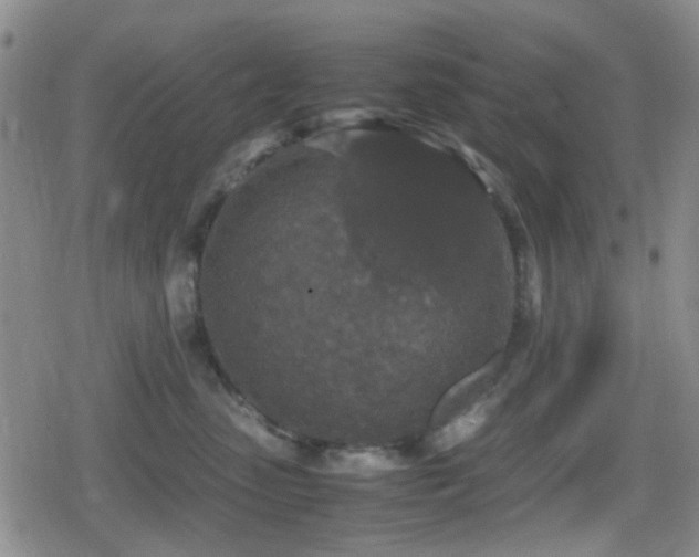 X0000080710475200612151138