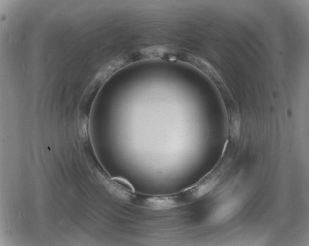 X0000080710477200612151138