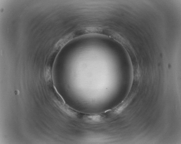 X0000080710478200612151138