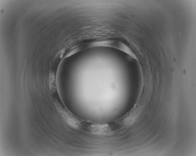 X0000080710480200612151138