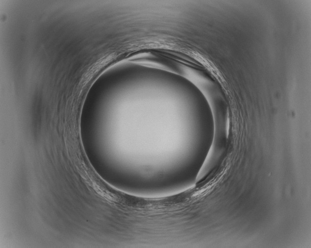 X0000080710481200612151138