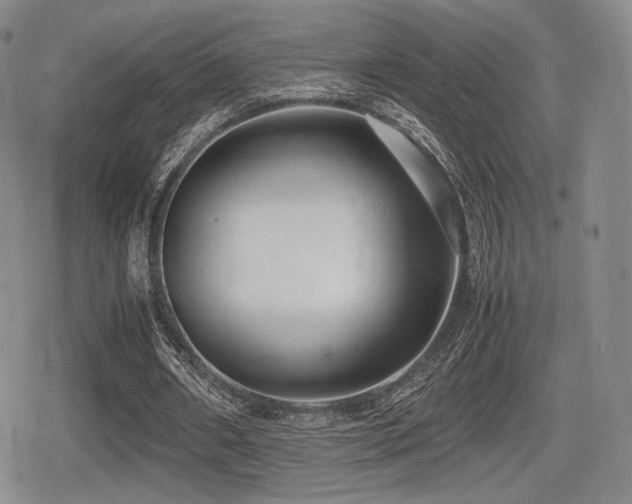 X0000080710482200612151138