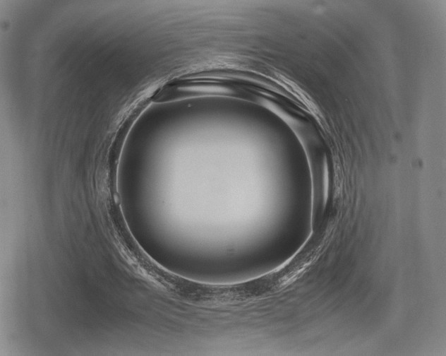 X0000080710485200612151137