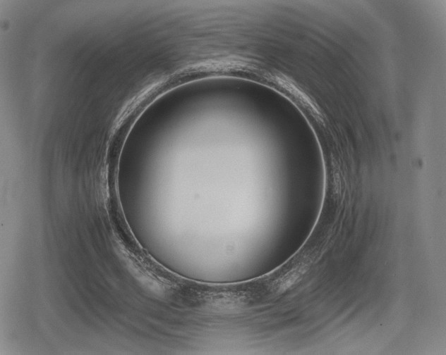 X0000080710486200612151137