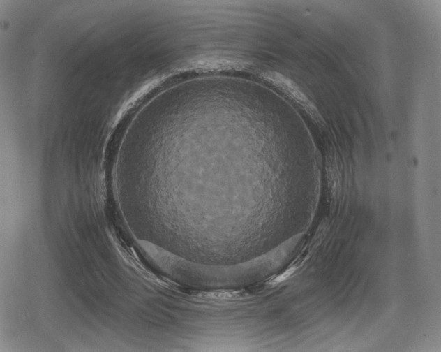 X0000080710488200612151137