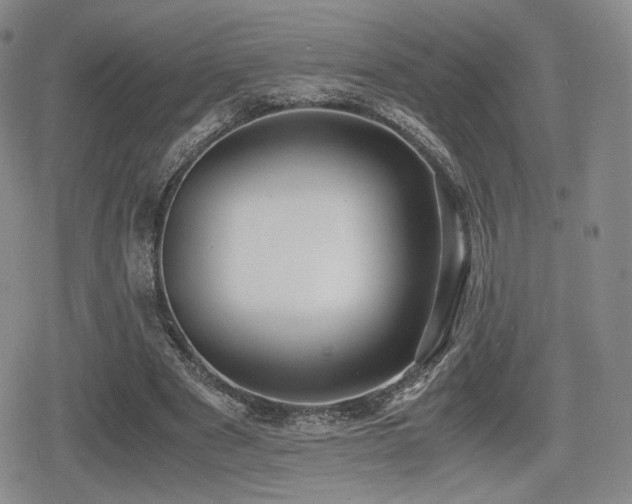 X0000080710489200612151137