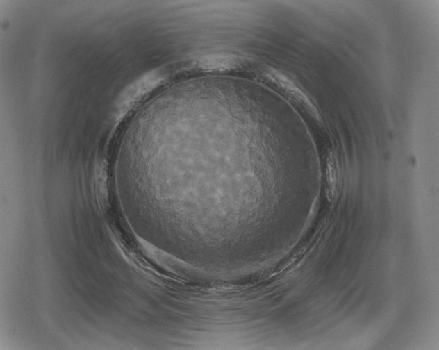 X0000080710492200612151137