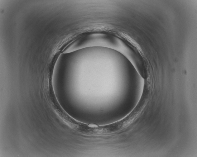 X0000080710493200612151137