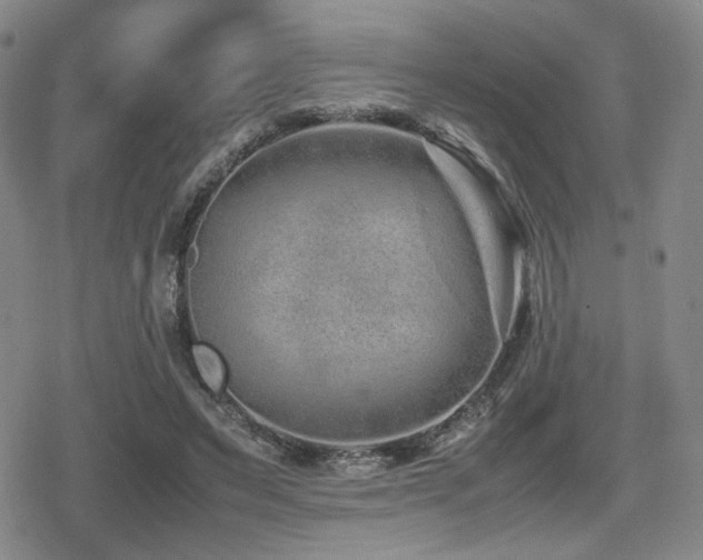 X0000080710495200612151137