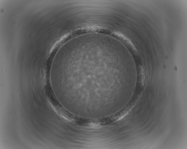 X0000080710496200612151137