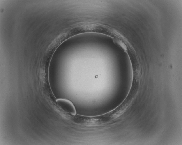 X0000080710497200612151137