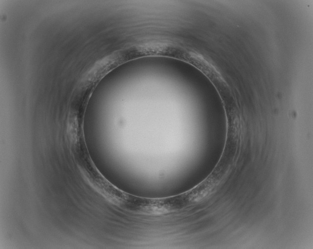 X0000080710498200612151137