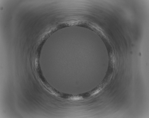 X0000080710499200612151137