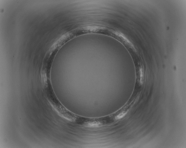 X0000080710500200612151137