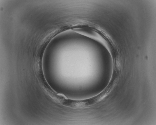 X0000080710501200612151137