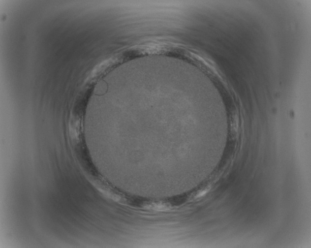 X0000080710503200612151137