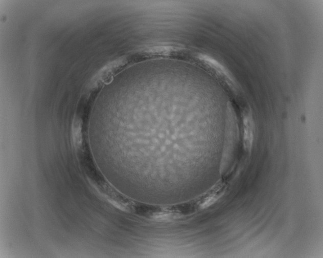 X0000080710504200612151137