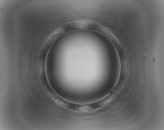 X0000080710505200612151137