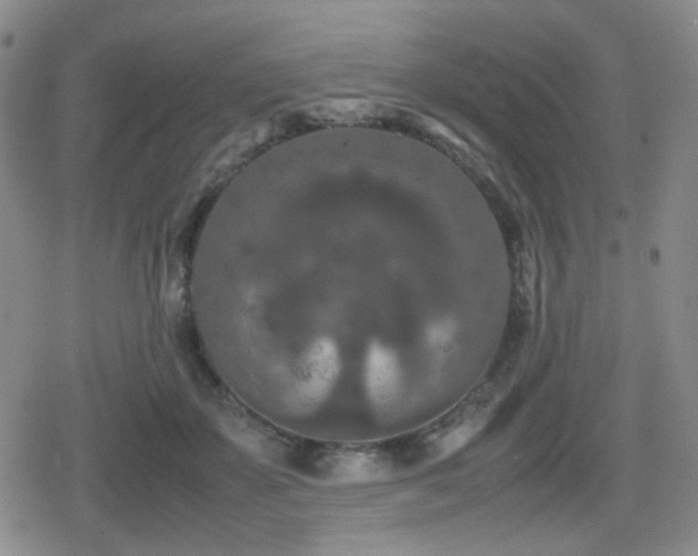 X0000080710507200612151137