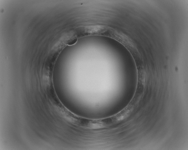 X0000080710510200612151137