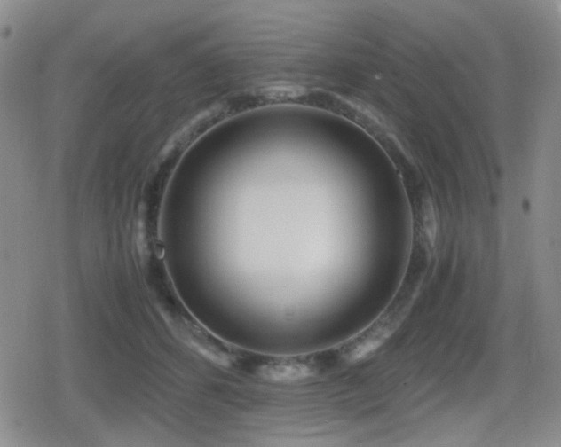 X0000080710512200612151137