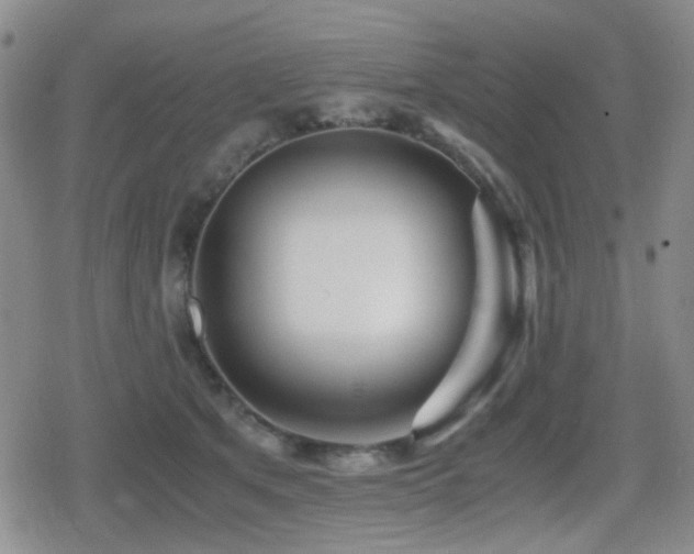 X0000080710513200612151137