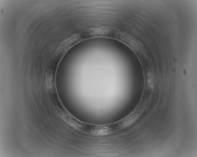 X0000080710514200612151137