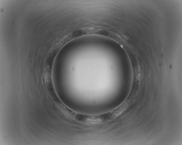 X0000080710515200612151137