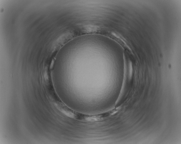 X0000080710516200612151137