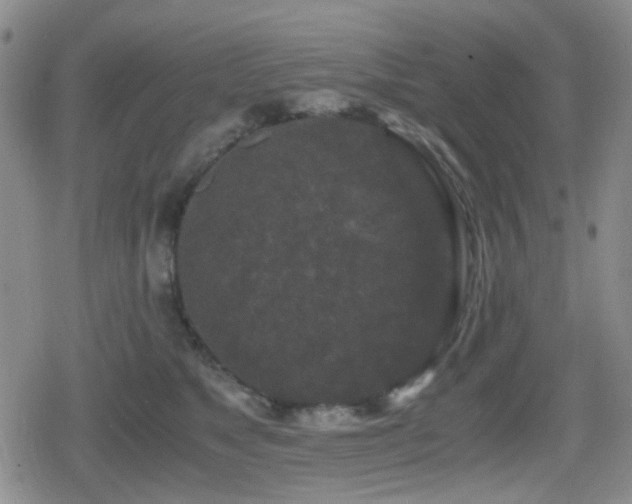 X0000080710517200612151137