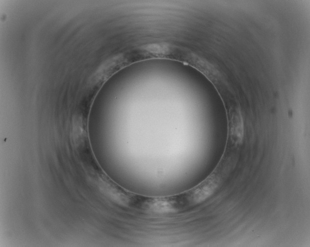 X0000080710518200612151137