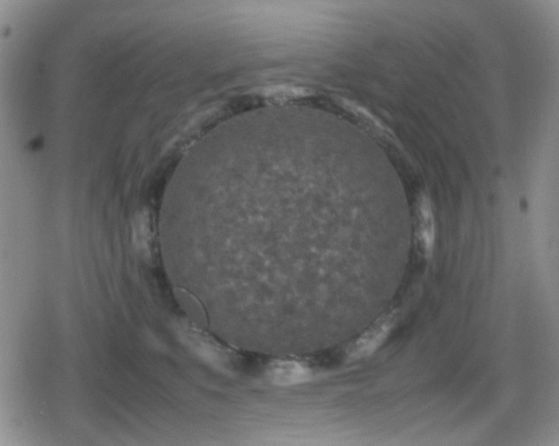 X0000080710519200612151137