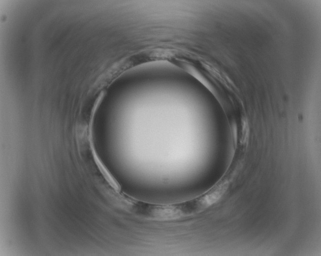 X0000080710521200612151137