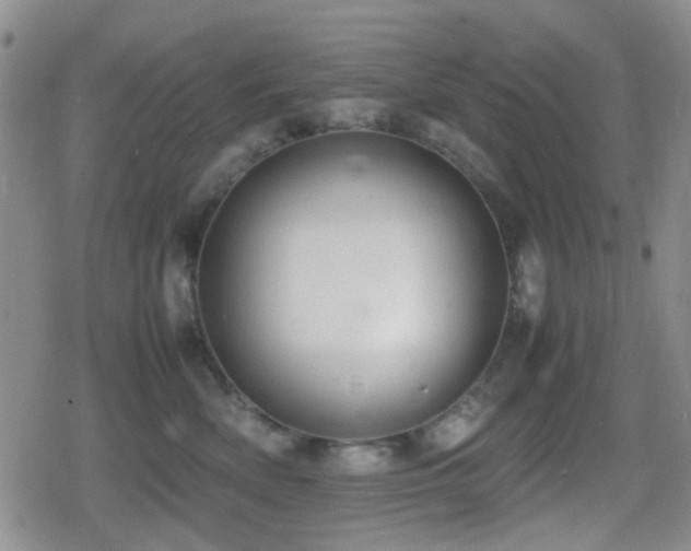 X0000080710522200612151137