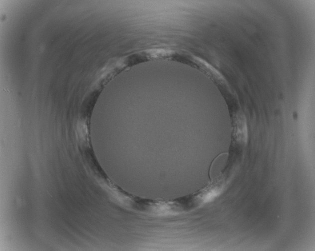 X0000080710523200612151137