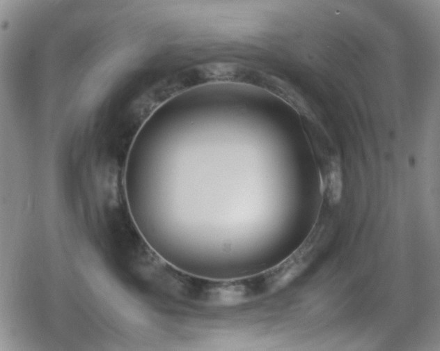 X0000080710525200612151137