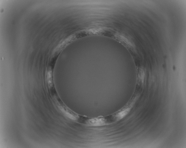 X0000080710526200612151137