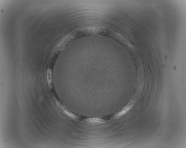 X0000080710528200612151137