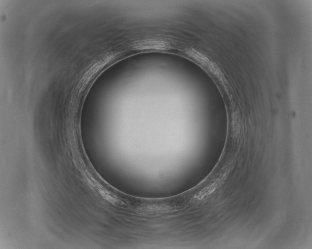 X0000080710529200612151136