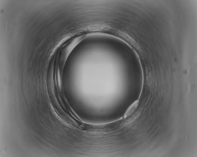 X0000080710530200612151136