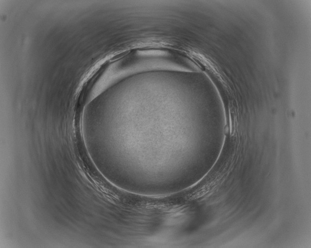 X0000080710531200612151136