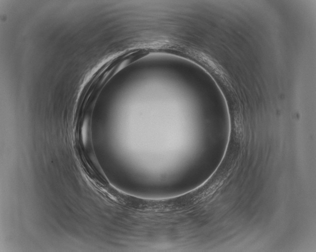 X0000080710532200612151136