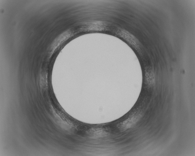 X0000080710534200612151136