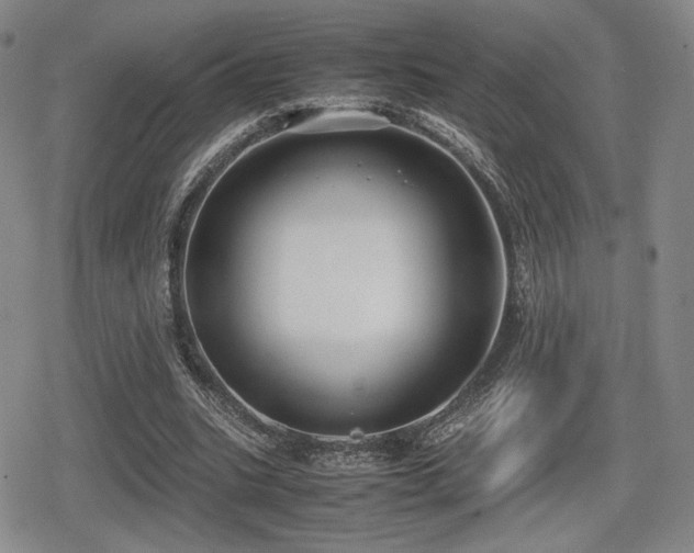 X0000080710535200612151136