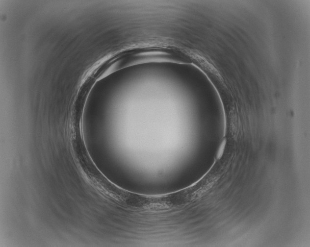 X0000080710536200612151136