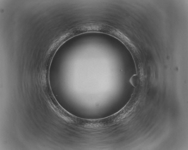 X0000080710537200612151136