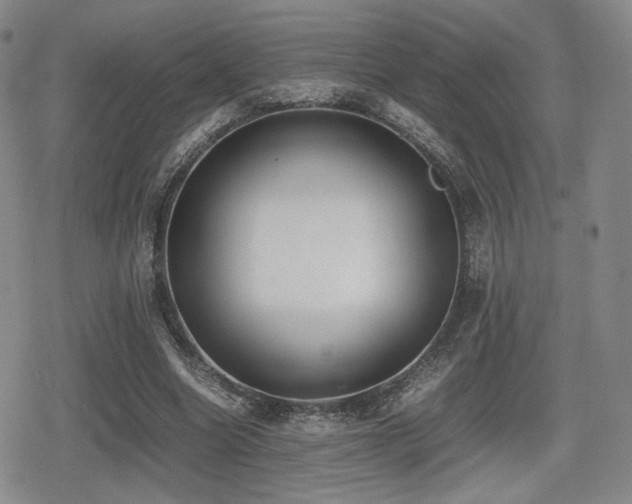 X0000080710538200612151136