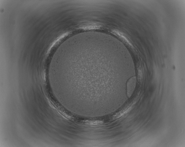 X0000080710539200612151136