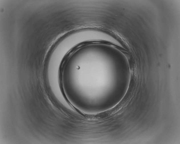 X0000080710540200612151136