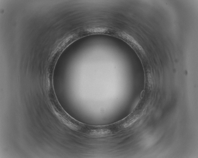 X0000080710541200612151136